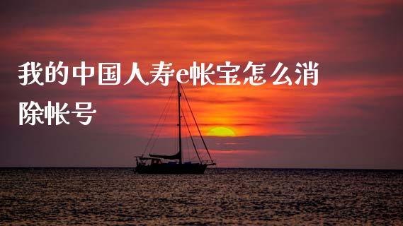我的中国人寿e帐宝怎么消除帐号_https://m.15771688.com_美国道指_第1张