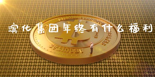 滨化集团年终有什么福利_https://m.15771688.com_期货手续费_第1张