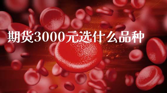 期货3000元选什么品种_https://m.15771688.com_期货手续费_第1张