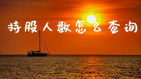 持股人数怎么查询_https://m.15771688.com_美国道指_第1张