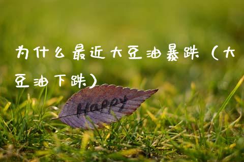 为什么最近大豆油暴跌（大豆油下跌）_https://m.15771688.com_期货手续费_第1张