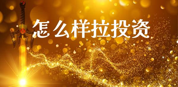 怎么样拉投资_https://m.15771688.com_道指实时行情_第1张