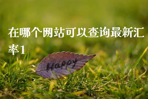 在哪个网站可以查询最新汇率1_https://m.15771688.com_期货开户_第1张