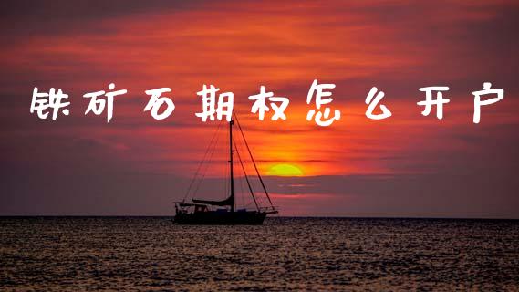 铁矿石期权怎么开户_https://m.15771688.com_期货开户_第1张