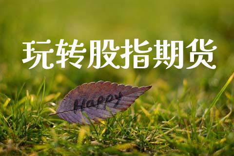 玩转股指期货_https://m.15771688.com_期货开户_第1张