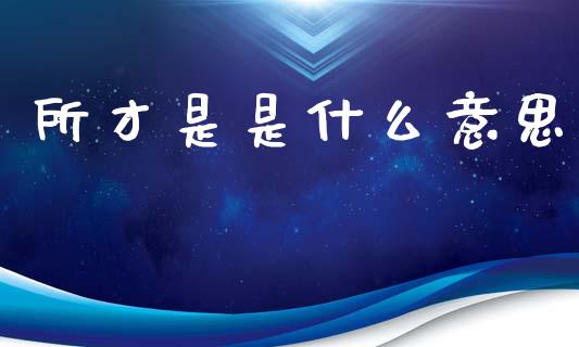 所才是是什么意思_https://m.15771688.com_期货手续费_第1张