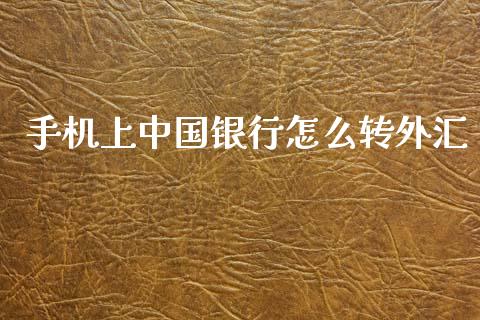 手机上中国银行怎么转外汇_https://m.15771688.com_期货开户_第1张