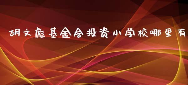 胡文彪基金会投资小学校哪里有_https://m.15771688.com_期货手续费_第1张