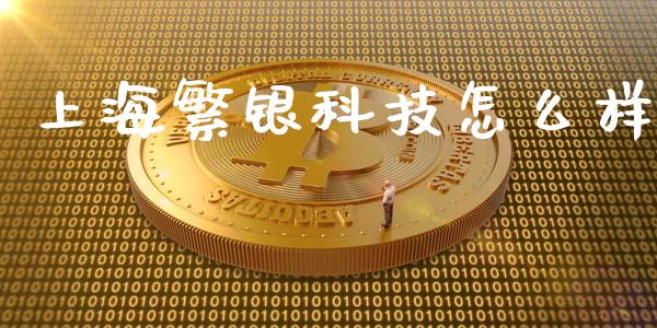 上海繁银科技怎么样_https://m.15771688.com_期货开户_第1张