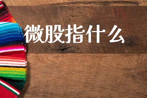 微股指什么_https://m.15771688.com_期货手续费_第1张