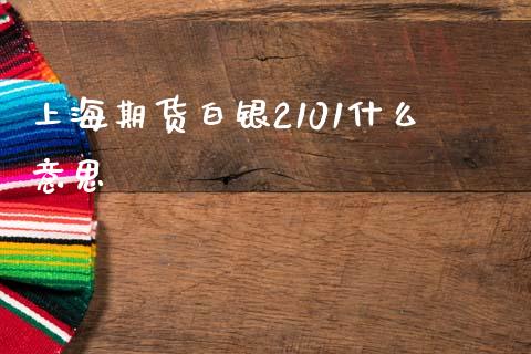 上海期货白银2101什么意思_https://m.15771688.com_期货手续费_第1张