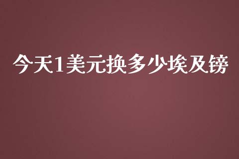 今天1美元换多少埃及镑_https://m.15771688.com_期货开户_第1张
