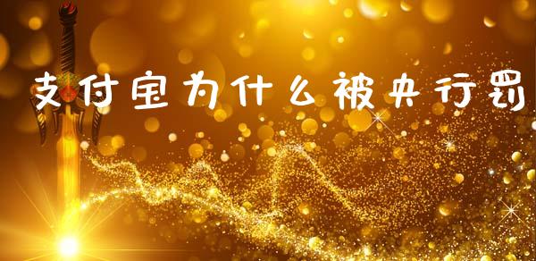 支付宝为什么被央行罚_https://m.15771688.com_期货手续费_第1张