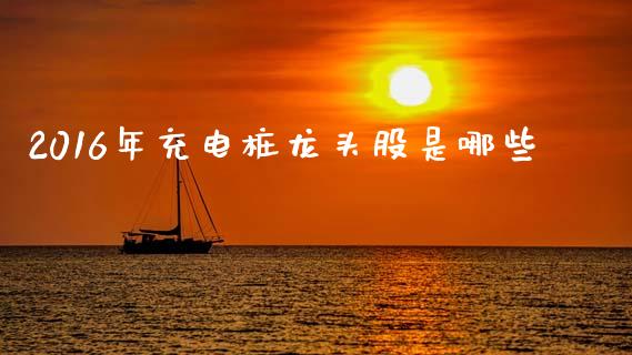 2016年充电桩龙头股是哪些_https://m.15771688.com_期货开户_第1张