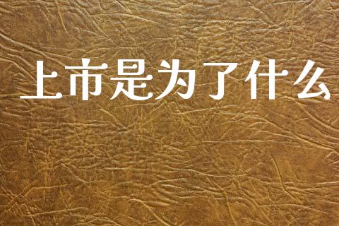 上市是为了什么_https://m.15771688.com_期货手续费_第1张