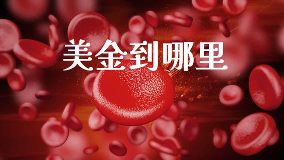 美金到哪里_https://m.15771688.com_期货开户_第1张