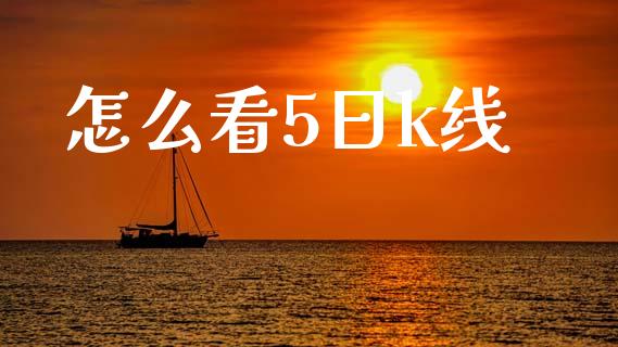 怎么看5日k线_https://m.15771688.com_期货开户_第1张