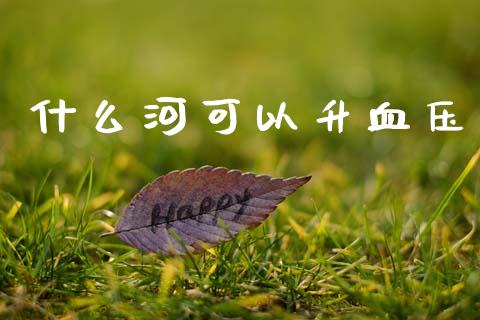 什么河可以升血压_https://m.15771688.com_期货开户_第1张