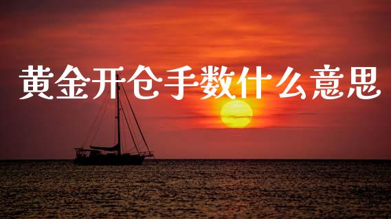 黄金开仓手数什么意思_https://m.15771688.com_美国道指_第1张