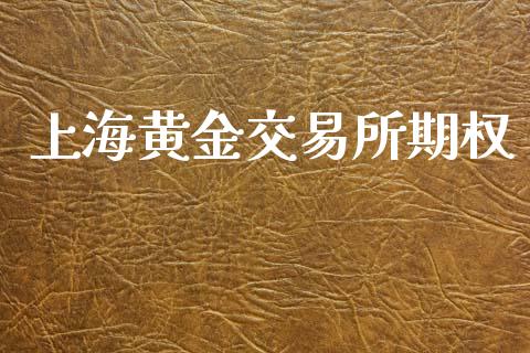 上海黄金交易所期权_https://m.15771688.com_期货开户_第1张