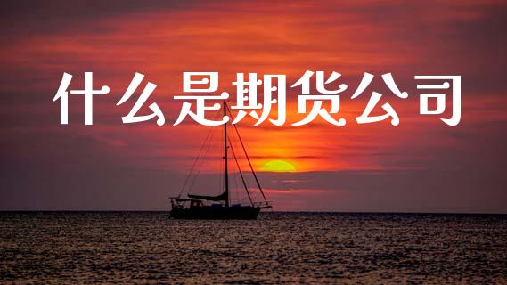 什么是期货公司_https://m.15771688.com_期货手续费_第1张