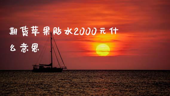期货苹果贴水2000元什么意思_https://m.15771688.com_期货开户_第1张
