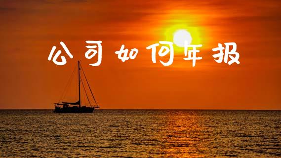 公司如何年报_https://m.15771688.com_期货手续费_第1张