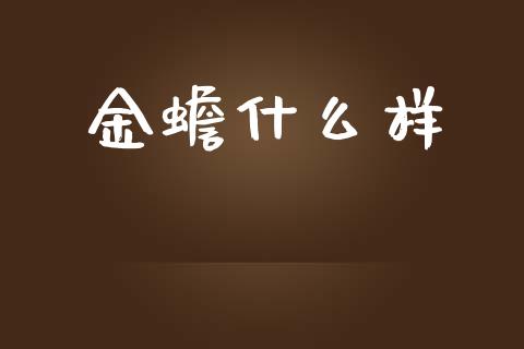 金蟾什么样_https://m.15771688.com_道指实时行情_第1张