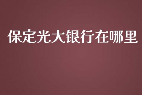 保定光大银行在哪里_https://m.15771688.com_道指实时行情_第1张