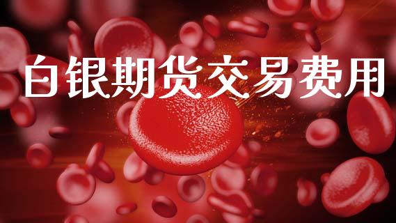 白银期货交易费用_https://m.15771688.com_道指实时行情_第1张