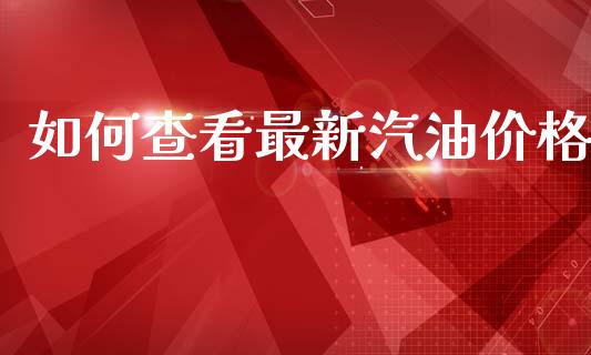 如何查看最新汽油价格_https://m.15771688.com_期货手续费_第1张