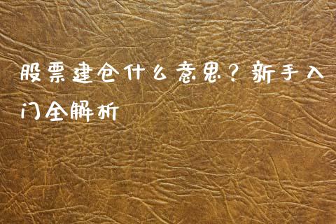 股票建仓什么意思？新手入门全解析_https://m.15771688.com_道指实时行情_第1张