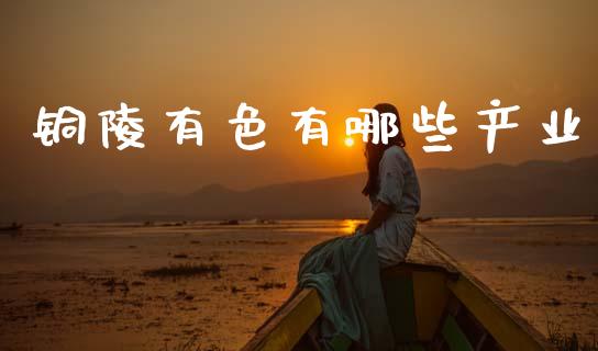 铜陵有色有哪些产业_https://m.15771688.com_期货手续费_第1张