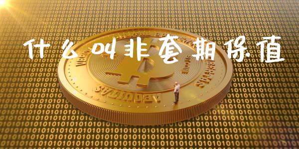 什么叫非套期保值_https://m.15771688.com_期货手续费_第1张