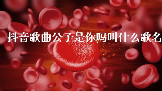 抖音歌曲公子是你吗叫什么歌名_https://m.15771688.com_期货手续费_第1张