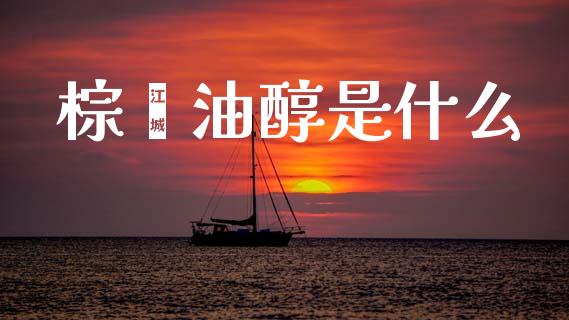 棕榈油醇是什么_https://m.15771688.com_道指实时行情_第1张