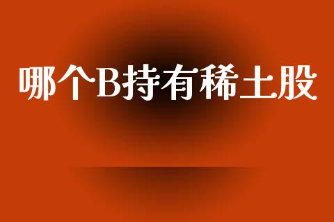 哪个B持有稀土股_https://m.15771688.com_期货手续费_第1张