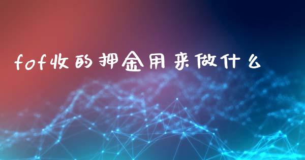 fof收的押金用来做什么_https://m.15771688.com_道指实时行情_第1张