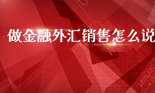 做金融外汇销售怎么说_https://m.15771688.com_道指实时行情_第1张