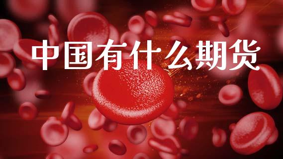 中国有什么期货_https://m.15771688.com_美国道指_第1张