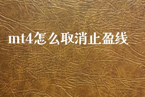mt4怎么取消止盈线_https://m.15771688.com_道指实时行情_第1张