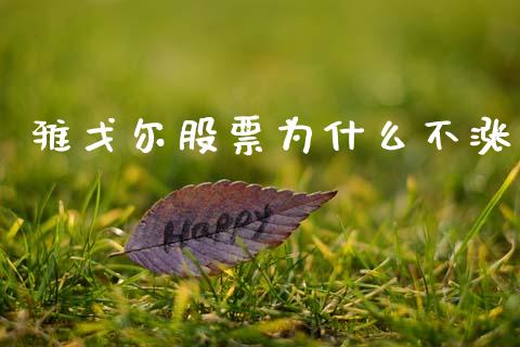 雅戈尔股票为什么不涨_https://m.15771688.com_期货开户_第1张