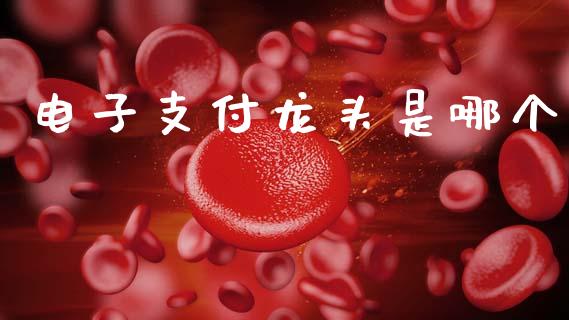 电子支付龙头是哪个_https://m.15771688.com_道指实时行情_第1张