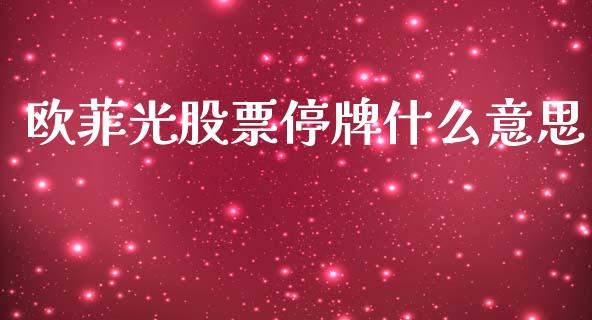 欧菲光股票停牌什么意思_https://m.15771688.com_美国道指_第1张