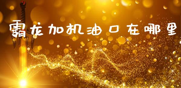 霸龙加机油口在哪里_https://m.15771688.com_期货开户_第1张