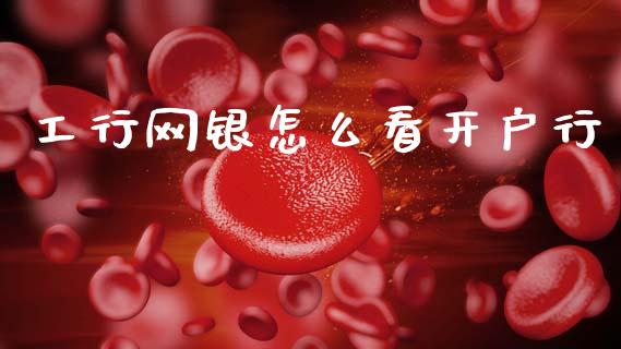 工行网银怎么看开户行_https://m.15771688.com_期货手续费_第1张