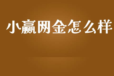 小赢网金怎么样_https://m.15771688.com_期货手续费_第1张