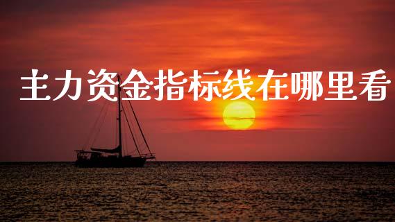 主力资金指标线在哪里看_https://m.15771688.com_期货手续费_第1张
