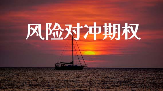 风险对冲期权_https://m.15771688.com_期货开户_第1张