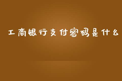 工商银行支付密码是什么_https://m.15771688.com_美国道指_第1张